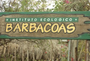 barbacoas