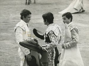 Madrid. 18/05/1972. Toros de don Manuel Francisco Garzón, de Pozos de Hinojo (Salamanca), para Palomo Linares, Eloy Cavazos v José Mari Manzanares, que confirma la alternativa