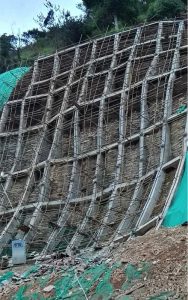 China montaña 1 copia