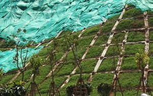 China montaña 8 copia